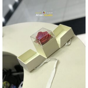 Gift Box With Rose White